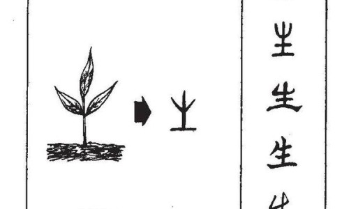 皮肤外用药膏名称大全图片-皮肤外用药膏名称大全网- 皮肤外用软膏名称大全知识,分享皮肤外用药膏一览表